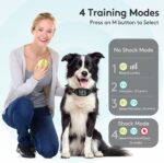 Reedog S1 - Obrázek 7