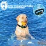 Reedog S2 - Obrázek 9