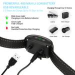 Reedog V2 - Obrázek 2