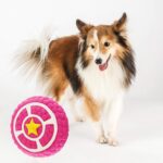 Reedog star, latexová pískací hračka - Obrázek 8