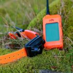 Dogtrace DOG GPS X25B - Obrázek 6