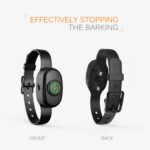 Patpet B78 - Obrázek 5