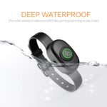 Patpet B78 - Obrázek 8