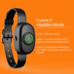 Patpet B78 - Obrázek 7