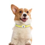 PawView chytrá známka pro psy a kočky srdce - Obrázek 2