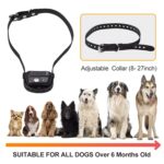 Reedog SP32 - Obrázek 3