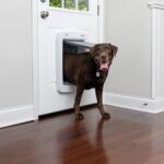 PetSafe® SmartDoor Connected Dvířka pro kočky a psy - Obrázek 2