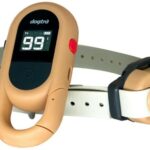 Dogtra IQ Flex