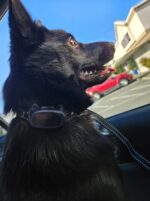 GoodLife Woofly Bark Control - Obrázek 2