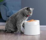 UahPet Geometry - Obrázek 2