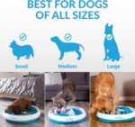 iFetch iDig Stay Digging Toy - Obrázek 8