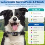 Reedog No Bark Smart Pro TC-006 - Obrázek 6