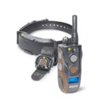 Dogtra ARC 800 Free Plus