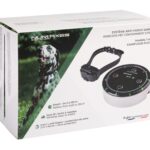 Num´axes Canifugue FUG1034