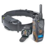 Dogtra ARC 1200S FREE PLUS