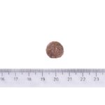 Brit Care Dog Hypoallergenic Adult Medium Breed Lamb 12 kg - Obrázek 3