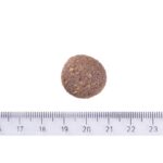 Brit Care Dog Hypoallergenic Adult Large Breed Lamb 12 kg - Obrázek 3