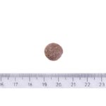 Brit Care Dog Grain-free Adult Salmon 3 kg - Obrázek 3