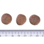 Brit Care Dog Grain-free Senior & Light Salmon 3 kg - Obrázek 3