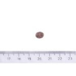 Brit Care Dog Sustainable Adult Small Breed Chicken & Insect 3 kg - Obrázek 2