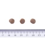 Brit Care Dog Grain-free Puppy Salmon 12 kg - Obrázek 3