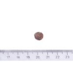 Brit Care Dog Sustainable Puppy Chicken & Insect 1 kg - Obrázek 2