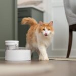 PetSafe® Outlast™ - Obrázek 2