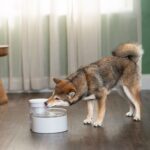 PetSafe® Outlast™ - Obrázek 3