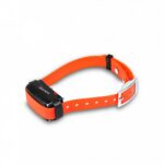 Bazar - Dogtrace d-control professional 2000 - Orange - Obrázek 2