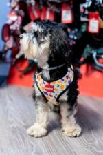 Reedog FRUIT - Obrázek 4