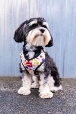 Reedog FRUIT - Obrázek 2