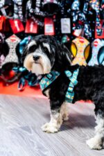 Reedog BREAD - Obrázek 2