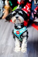 Reedog BREAD - Obrázek 3