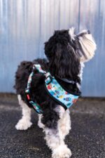 Reedog FISH - Obrázek 3