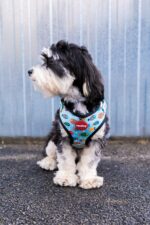 Reedog FISH - Obrázek 2