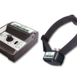 Num´axes Canifugue