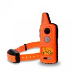 Dogtrace d-control Professional 2000 - Orange