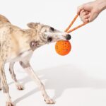 Cheerble Wicked Ball Air Rope - Obrázek 7