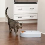 PetSafe® 5-Meal Pet Feeder - Obrázek 9