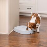 PetSafe® 5-Meal Pet Feeder - Obrázek 5
