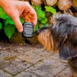 Mala GPS tracker - Obrázek 5