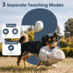 Patpet 625 - Obrázek 6