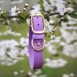 Bura Obojek fialový Furry tale - Obrázek 2