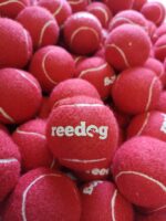 Reedog tenisový míček pro psa - M - Obrázek 3