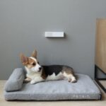 Petkit Pura Air chytrý odstraňovač pachu a bakterií - Obrázek 2