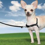 Easy Walk™ Harness - Obrázek 2