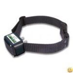 Num´axes Canifugue - Obrázek 2