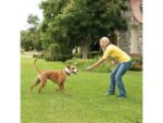 PetSafe® Stay + Play - Obrázek 3