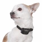 Canicalm Small - Obrázek 4