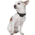 Canicalm Small - Obrázek 9